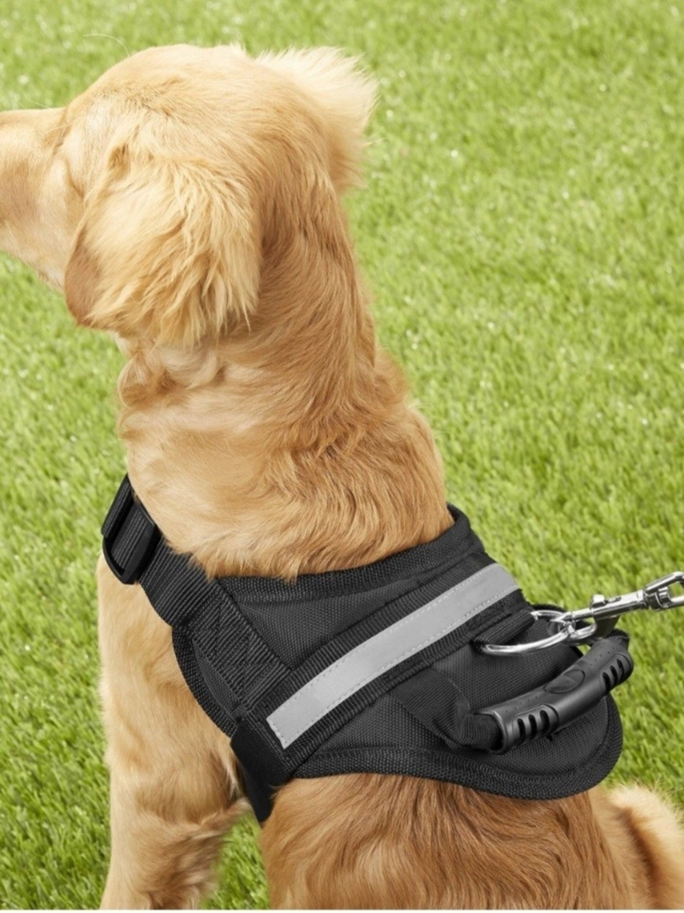 HDP Soft Anti-Pull Harness in Black, Sz XL (32"-42")